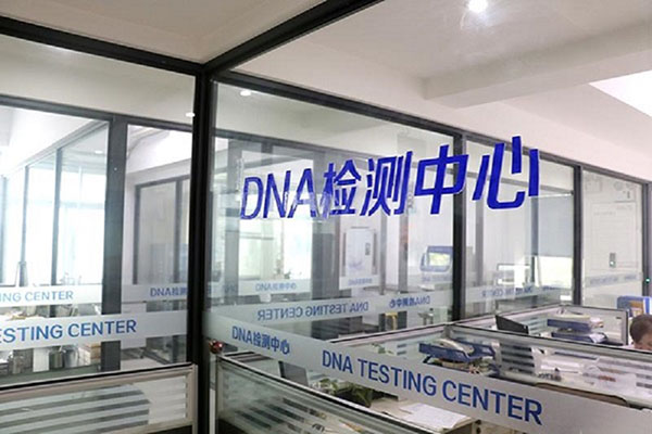 ൺDNA